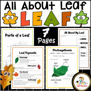 All About the Leaf Activities Packet